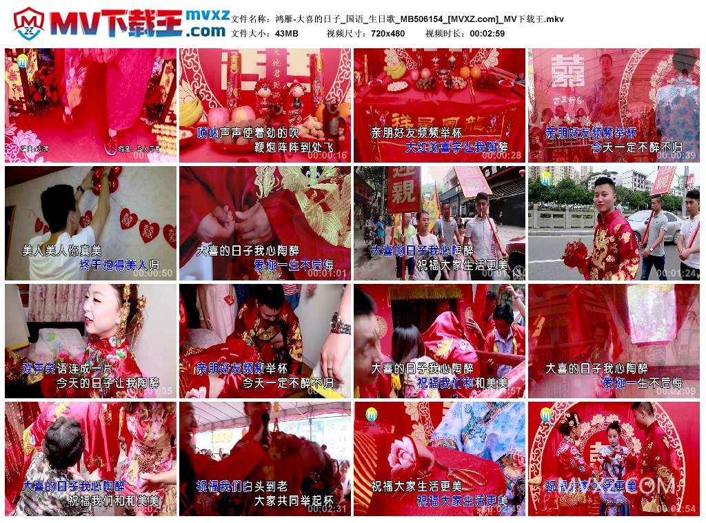 鸿雁-大喜的日子_国语_生日歌_MB506154